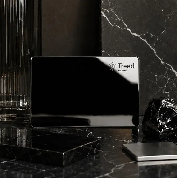 TR-026 · Noir Mirror